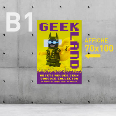 Affiche B1